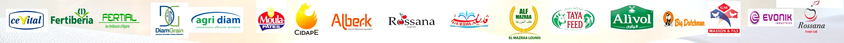 Logos de clients de Designer Touch, rangée 3